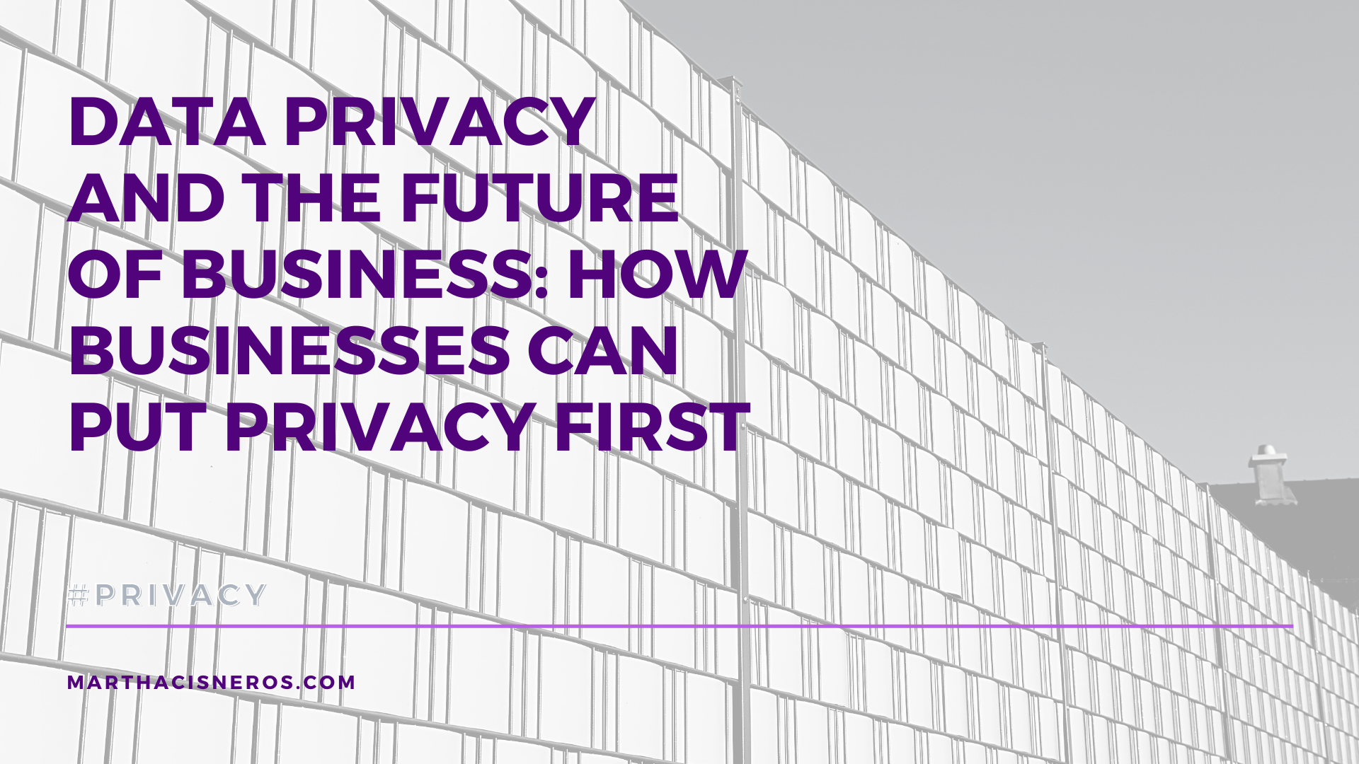 Data Privacy and the Future of Business: How Businesses Can Put Privacy First
