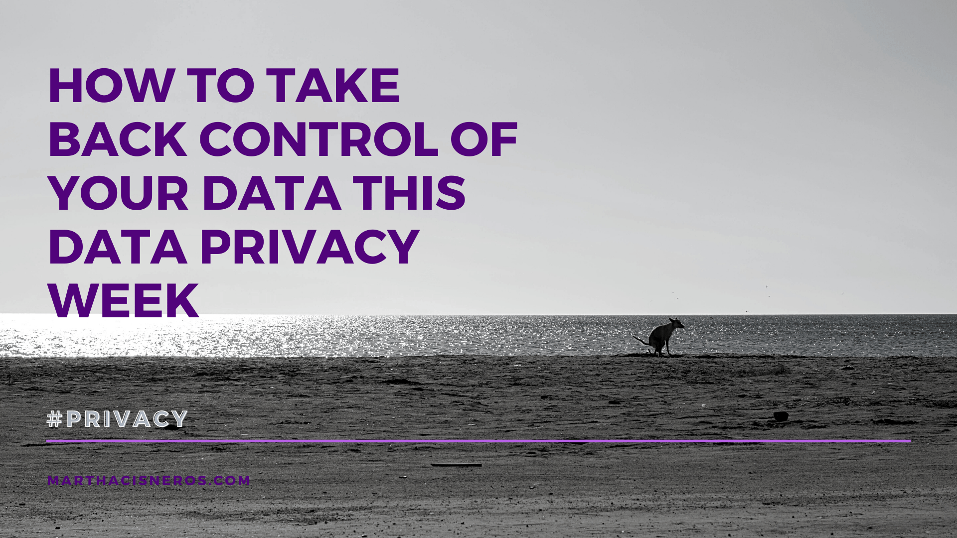 How to Take Back Control of Your Data This Data Privacy Week